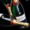 Bollinger Section