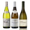 Treble Wine Gifts Section