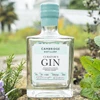 Craft Gin Section