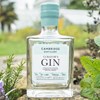 Craft Gin Section