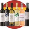 6 Case of wines Section