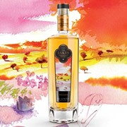 Secondery 1652168367-13077100.jpg