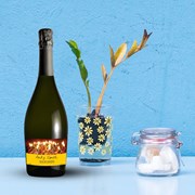Secondery Birthday-candels-prsseco-Life.jpg