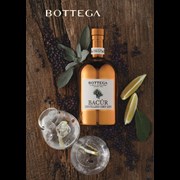 Secondery Bottega-Bacur-Dry-Gin-50cl-life.JPG