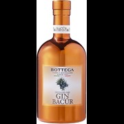 Secondery Bottega-Bacur-Dry-Gin-bottle.jpg