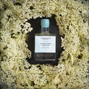 Secondery CD-Elderflower-Botanical-1_2160x.jpg