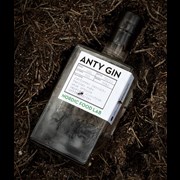 Secondery Cambridge-Anty-Gin-70cl-2.jpg