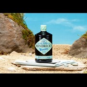 Secondery Hendricks-Neptunia-Bottle_Lifestyle.jpg