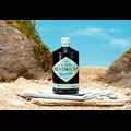 Secondery Hendricks-Neptunia-Bottle_Lifestyle.jpg