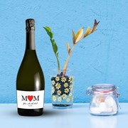Secondery Mom-1-prsseco-Life.jpg