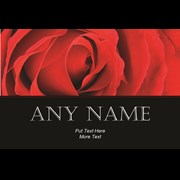 Secondery ROSE-prev.jpg