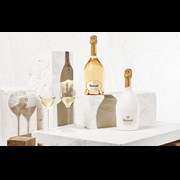 Secondery RUINART-CHAMPAGNE-BLANC-DE-BLANCS-SECOND-SKIN-life.jpg