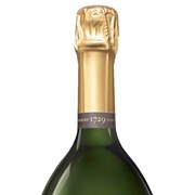 Secondery Ruinart-brut-bottle2-neck.jpg