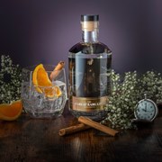 Secondery TIME-FOR-A-GIN--ORANGE-web.jpg