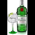 Secondery Tanqueray-London-Dry-gin-and-glass.jpg