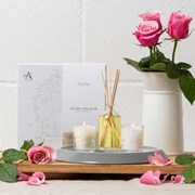Secondery aftertherainhomegiftset_600x.jpg