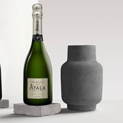 Secondery ayala-brut-nature-life.jpg