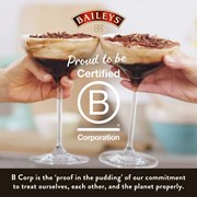 Secondery bailyes-life-b-corp.jpeg