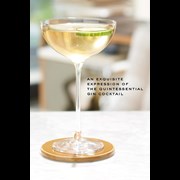 Secondery batch-bottle-hendricks-gin-martini-in-glass.jpg
