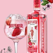 Secondery beefeater-pink-strawberry-gin-life.jpg