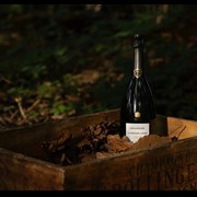 Secondery bollinger-la-grand-annee-2015-life2.jpg