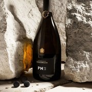 Secondery bollinger-pn-vz19-75cl-life.jpg