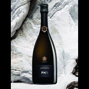 Secondery bollinger-pn-vz19-75cl-life2.jpg