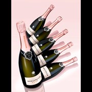 Secondery bollinger-rose-lifestyle-2.jpg