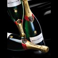 Secondery bollinger-sc-lifestyle.jpg