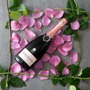 Secondery bolly-rose-life7.jpg