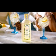 Secondery bombay-citron-presse-lemon-gin-life-2.jpg
