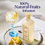 Secondery bombay-citron-presse-lemon-gin-life-9.jpg