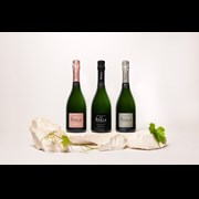 Secondery champagneayala_new_bottle_three_cuvees-640x427.jpg