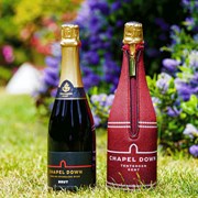 Secondery chapel-down-brut-england-cricket-neoprene-jacket-life.jpg
