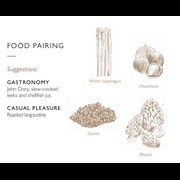 Secondery clos-lanson-food-parings.jpg