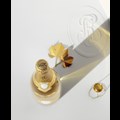 Secondery cristal-life-1.jpg