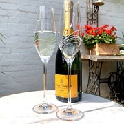 Secondery dsb2fl_02_champagne_flutes_1000-copy.jpg