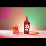Secondery edinburgh-raspberry-gin-life.jpg