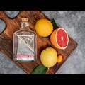 Secondery elephant-gin-life3.jpg