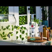 Secondery f21_uk_bacardi_cartablanca_globalassettoolkit_mojitogroup_website_banner_3000x2250_755886-9.jpg