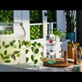 Secondery f21_uk_bacardi_cartablanca_globalassettoolkit_mojitogroup_website_banner_3000x2250_755886-9.jpg