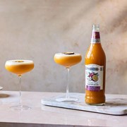 Secondery fever-tree-passion-fruit-martini-mixer-lifestyle-copy.jpg