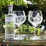 Secondery fos2gin_03_1000.jpg
