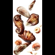 Secondery guylian-original-seashells.jpg