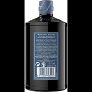 Secondery hendricks-Lunar-back.jpg