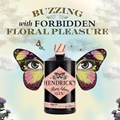 Secondery hendricks-flora-adora-life.jpg