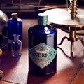 Secondery hendricks-orbium-life.jpg