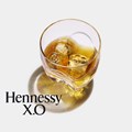 Secondery hennessy-xo-glass.jpg