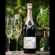 Secondery klein_constantia_blanc_de_blanc_life.jpg