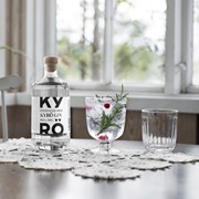 Secondery kyro-lifestyle__89100.jpg